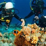 Top 10 Best Places for Snorkeling and Scuba Diving