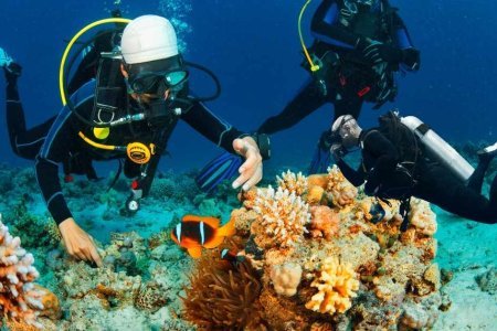 Top 10 Best Places for Snorkeling and Scuba Diving