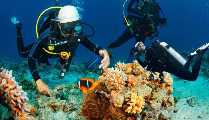 Top 10 Best Places for Snorkeling and Scuba Diving